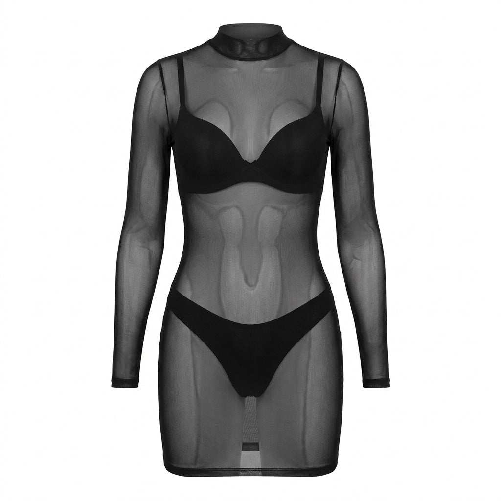 Sheer Mesh Long Sleeve Mini Dress