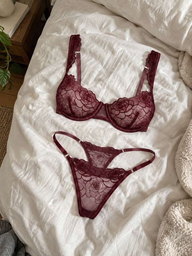 Clara M. review photo